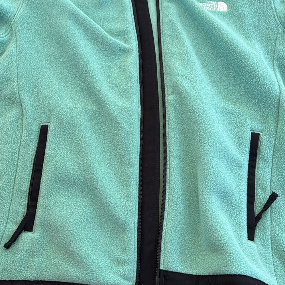 The North Face Alpine Polartec 200 Fleece Jacket - Picture 10 of 12